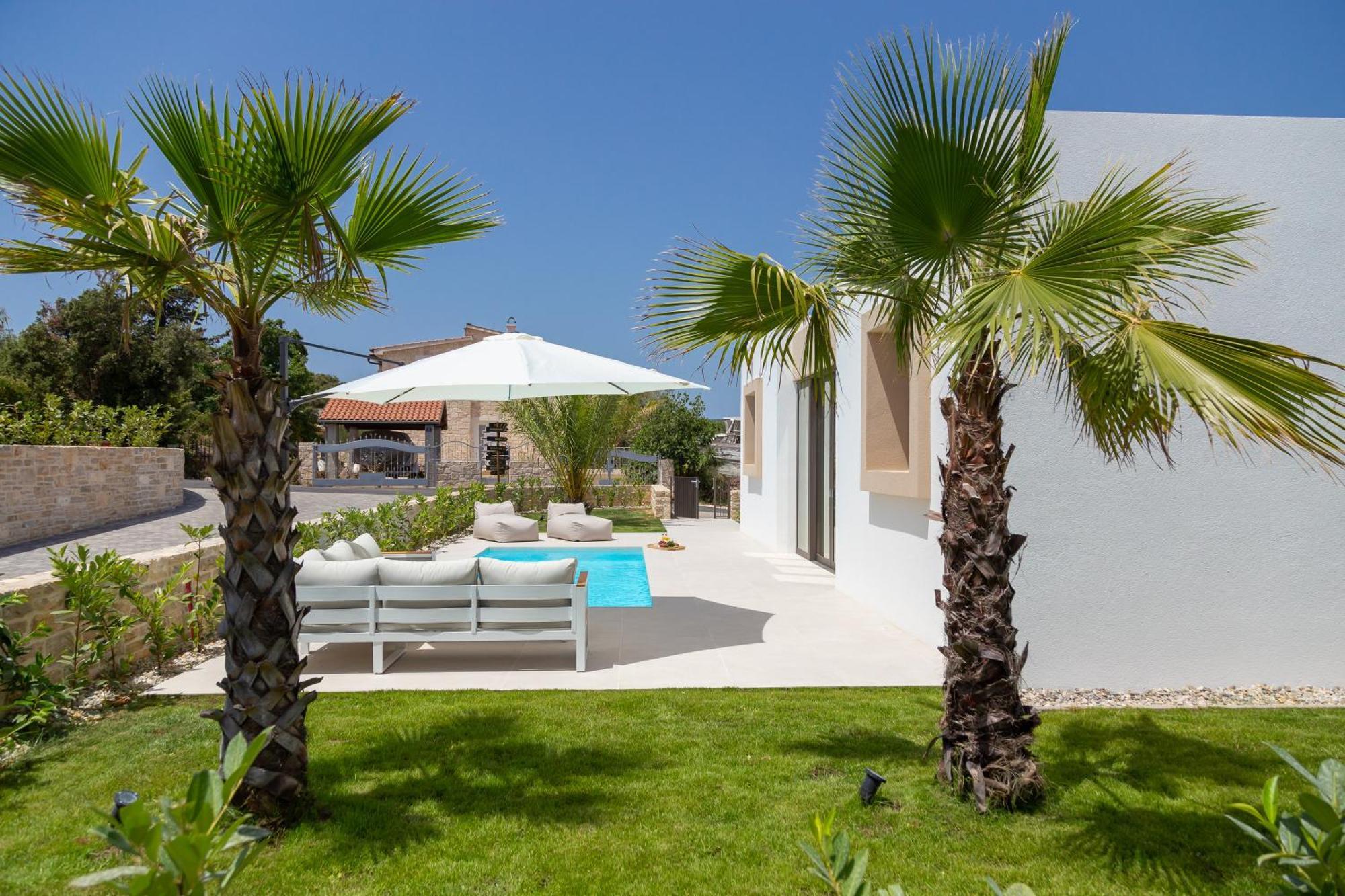 The Palms * Tkon