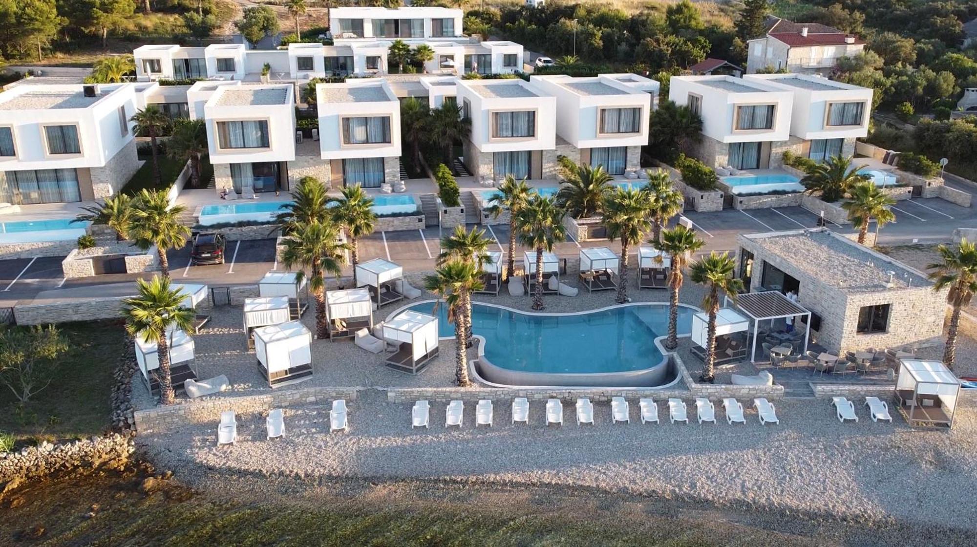 The Palms *